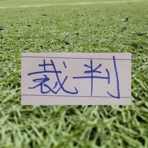开云体育app下载-第11轮北京国安VS 卫冕冠军的主裁 果然是马老师|中超|上海海港|足协|裁判|红牌_新浪体育_新浪新闻