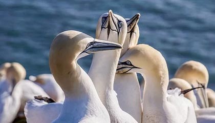 开云入口登录-皇马女足前锋阿西妮娅：单身生活与深夜的泪水|阿西妮娅-德尔卡斯蒂略|德尔卡斯蒂略|皇家马德里|名人|心扉_新浪体育_新浪新闻